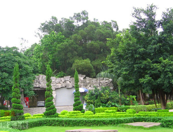 植物造景藝術(shù)工程